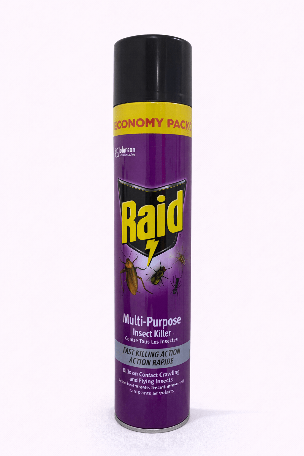 Raid Multi-Purpose Spray 750Ml